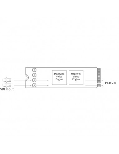 Magewell Eco Capture QL SDI 4K M 2 Placa De Captura