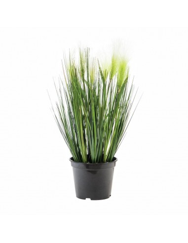 EUROPALMS Plante decorative, alb, 60cm