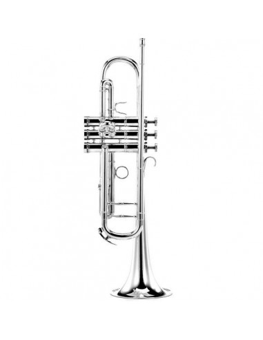 Trompeta Adams A7 Gold Brass 0,45...