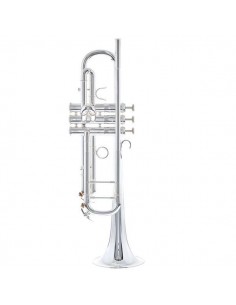 Trompeta Adams A10 Brass...