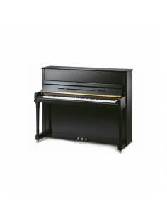 Pearl River EU122/A111 Pianina