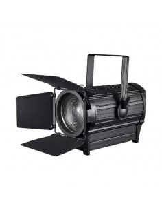 DSE Theatre Spot Fresnel...