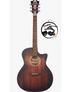 D'Angelico Premier Gramercy...