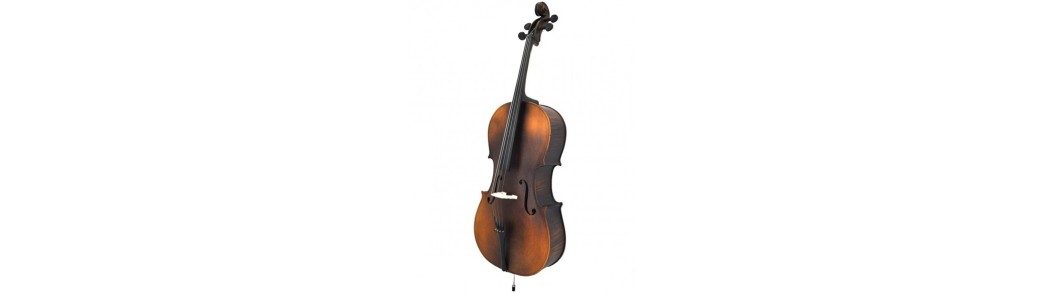 cello,violoncel , instrumente ,corzi ,magazin muzica,yamaha,suceava,botosani,iasi,bistrita