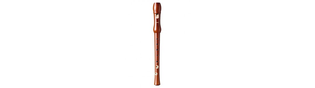 Expert Music - Magazinul de Instrumente muzicale - Fluiere Profesionale