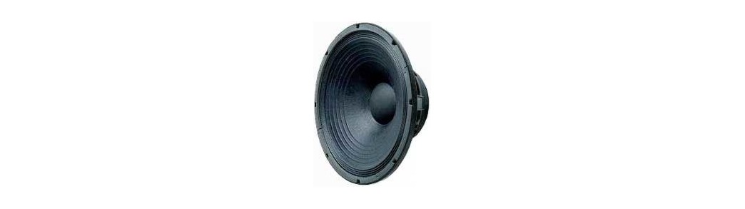 Expert Music @ Magazinul Muzica Suceava - Difuzoare profesionale 15 Inch pentru sateliti si subwoofer